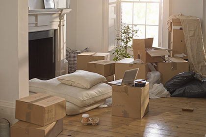 selidbe stana ili kuce u beogradu